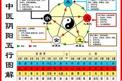 1984五行|84年属鼠什么五行 84年属鼠的五行是属什么